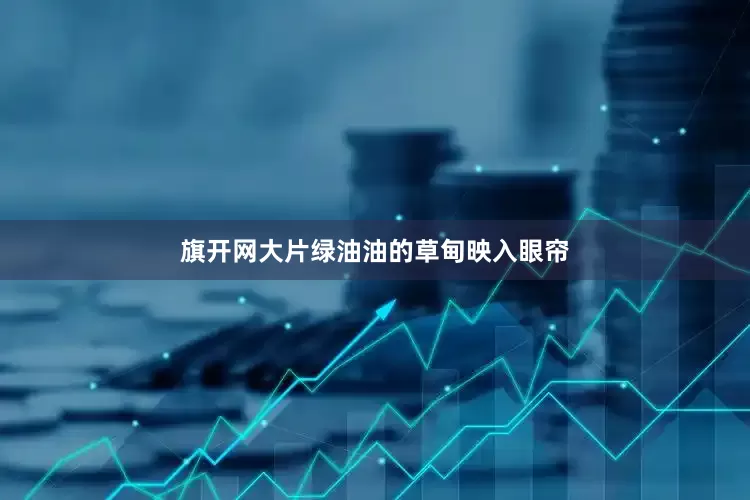 旗开网大片绿油油的草甸映入眼帘