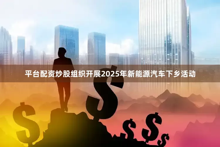平台配资炒股组织开展2025年新能源汽车下乡活动