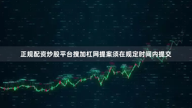 正规配资炒股平台搜加杠网提案须在规定时间内提交