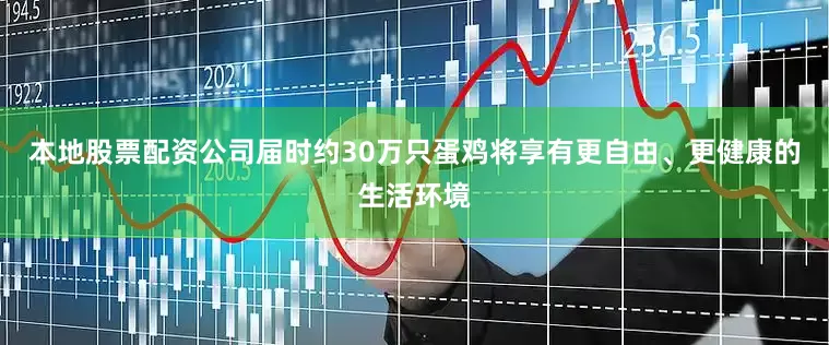 本地股票配资公司届时约30万只蛋鸡将享有更自由、更健康的生活环境